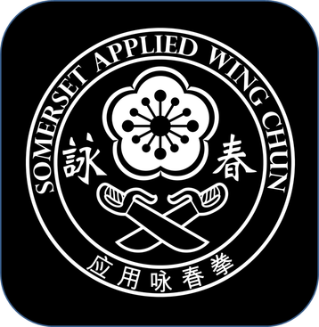 Somerset Applied Wing Chun logo, in the picture